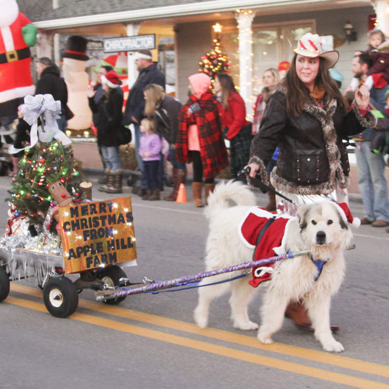 Banner Elk Christmas Parade of Lights.jpg